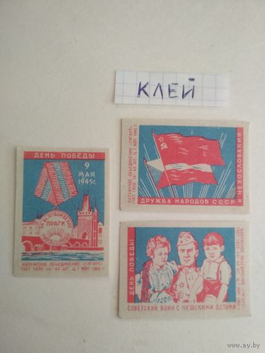 Спичечные этикетки ф.Гигант. Дружба народов СССР и Чехословакии. 1965 год