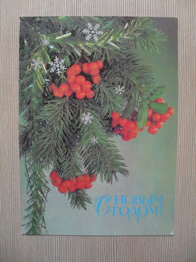 ПОДПИСАННАЯ ОТКРЫТКА. СССР. С НОВЫМ ГОДОМ. ФОТО. И. ДЕРГИЛЕВА. 1987 год.