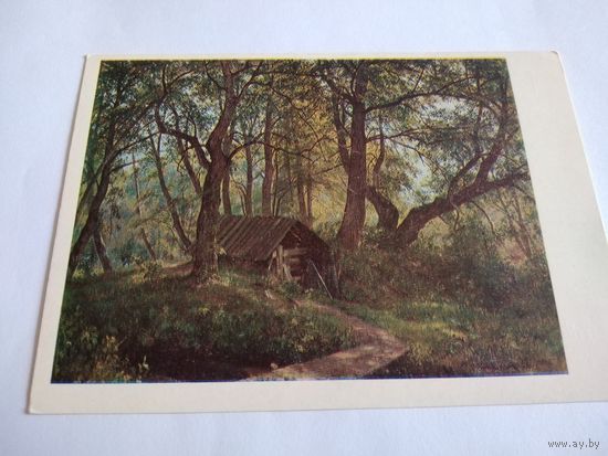 Открытка 1985г. И. Шишкин. Старые липы.