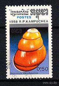 1988 Камбоджа. Ракушка