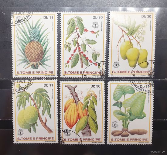 Сен-Томе и Принсипи. 1981 год. Флора. Плоды (1304)
