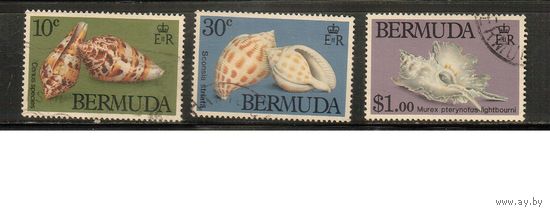 Бермуды-1982(Мих.408-411) , гаш. , Морская  Фауна,   Раковины