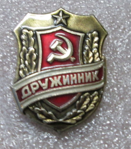 Дружинник.