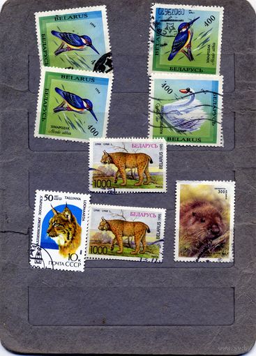 БЕЛАРУСЬ, СБОРНЫЙ ЛОТ фауна 8м по 10 коп шт гашеная