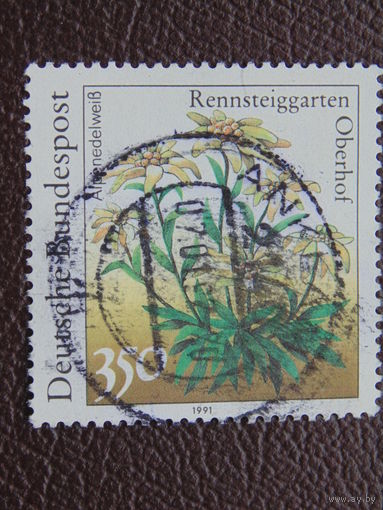 Германия 1991 г.