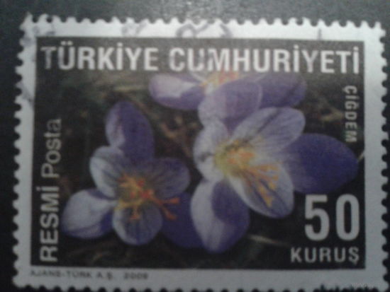 Турция 2009 цветы