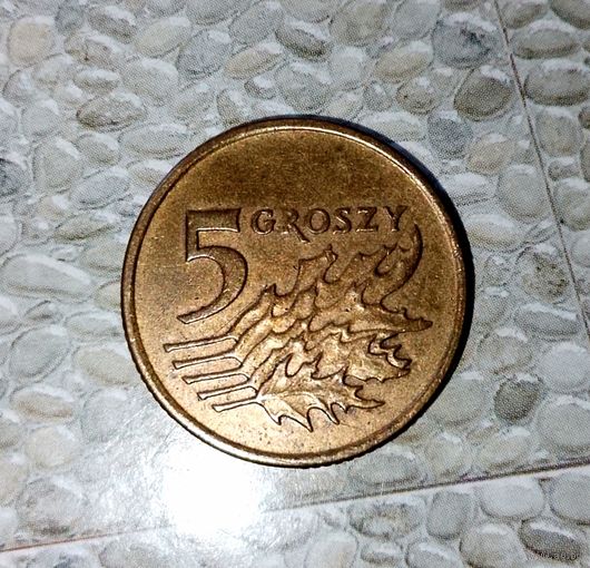 5 грошей 1992 года Польша. Третья Республика. Красивая патина!