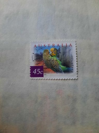 Австралия 2001. Фауна. Птицы. Попугаи. Budgerigar
