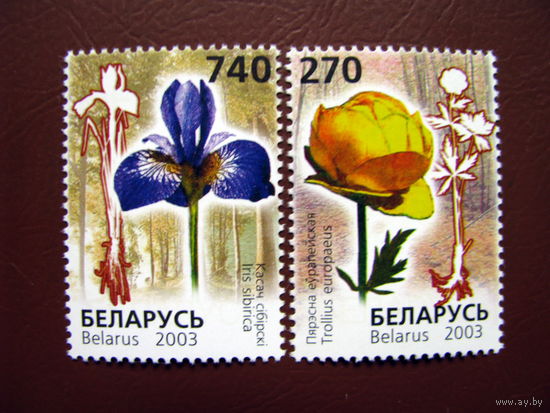 Беларусь 2003 Красная книга. Цветы