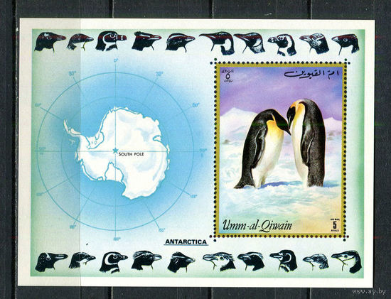 Умм-эль-Кайвайн - 1972 - Пингвины - [Mi. bl. 51] - 1 блок. MNH.  (Лот 99Gx)-T4P29