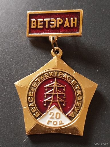 Ветеран " Белсельэлектрасеткабуд" 20 год.