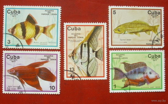 Куба. Рыбы. ( 5 марок ) 1977 года. 3-5.