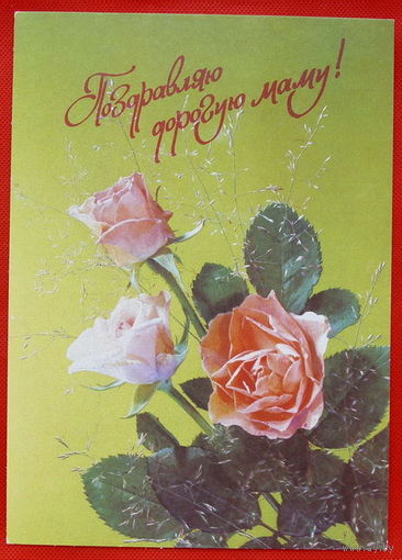 Поздравляю дорогую Маму! Чистая. 1991 года. Дергилев.