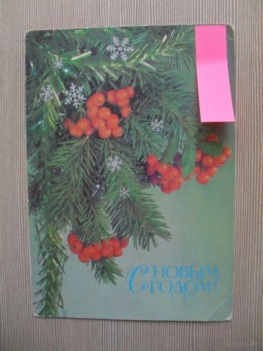 ПОДПИСАННАЯ ОТКРЫТКА. СССР. С НОВЫМ ГОДОМ. ФОТО. И. ДЕРГИЛЕВА. 1987 год.