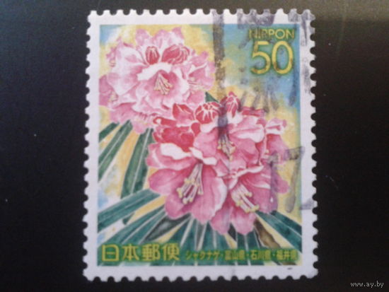 Япония 2005 рододендрон