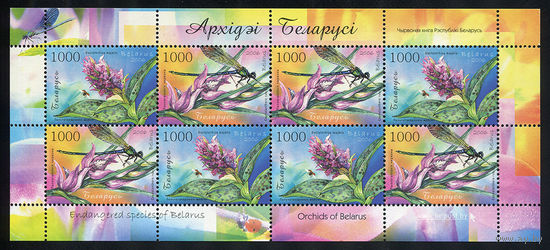 2006_Орхидеи.