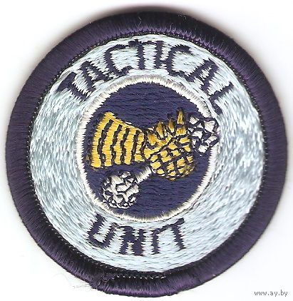 Нарукавный знак тактического подразделения полиции штата Луизиана