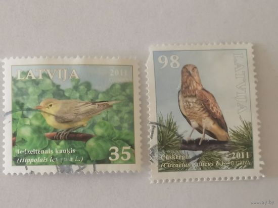 Птицы Латвии - Зеленая пересмешка (Hippolais icterina L.) и Змееяд (Circaetus gallicus L.)