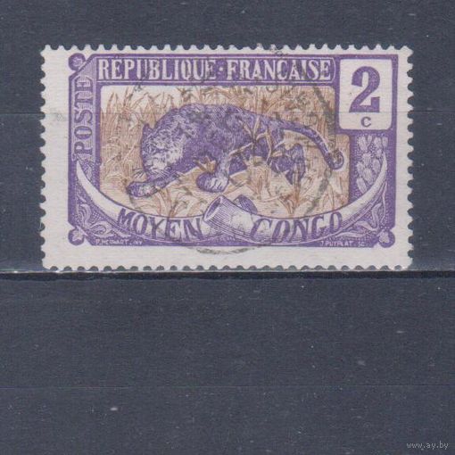 [906] Французские колонии. Среднее Конго 1907. Фауна.Леопард.2 с. Гашеная марка.