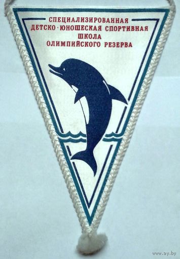 W: Вымпел No 8 "СДЮСШ ОР", Солигорск