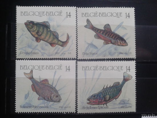 Бельгия 1990 Рыбы** Полная серия