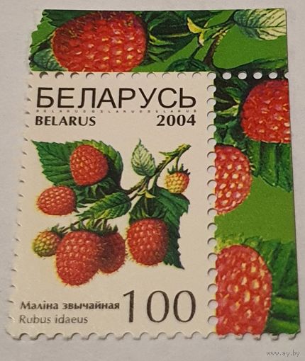 Ягоды 2004 год
