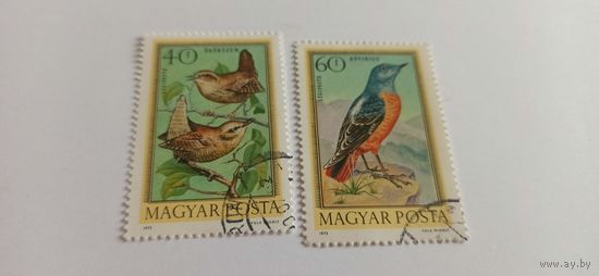 Венгрия 1981 фауна