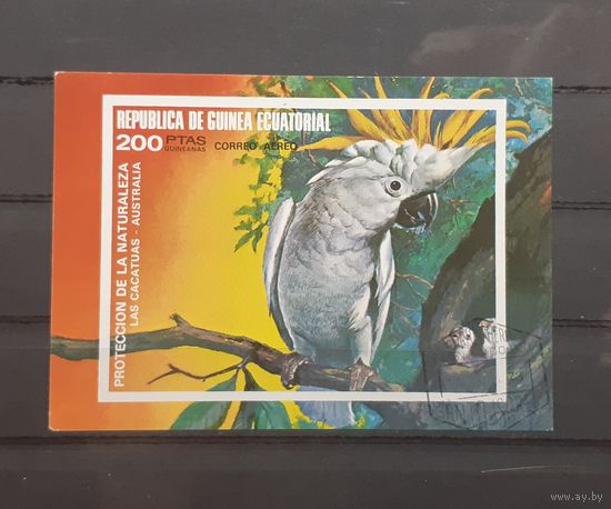 Распродажа с 1 рубля! Фауна. Экваториальная Гвинея. 1973 год. Птицы. Попугай (блок, беззцубцовка)