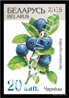 Беларусь 2025г 18-й стандартный выпуск. Чарнiцы (самокл. )MNH