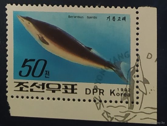 КНДР 1992 киты, животные моря 1 из 6.