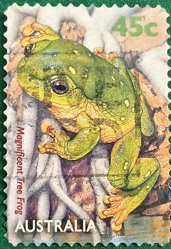 Австралия 1999. Великолепная литория