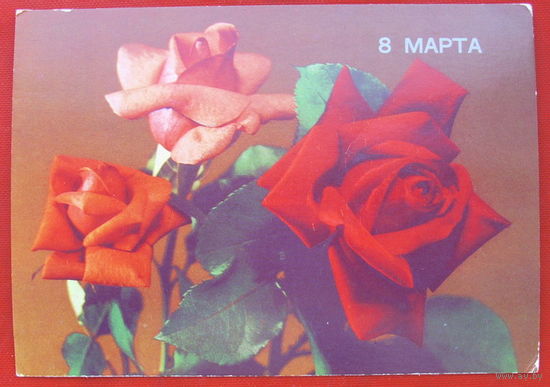8 Марта! Чистая. 1989 года. Круцко. 87.