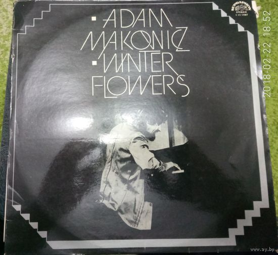 Adam Makowicz	Winter flowers