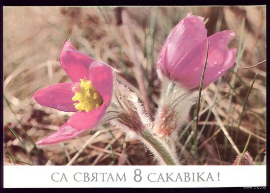 1988 год Г.Лихторович Са святам 8 сакавiка!