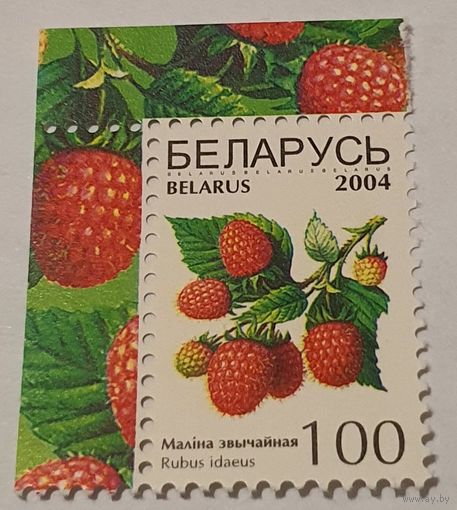 Ягоды 2004 год