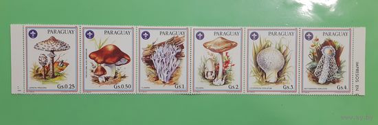 Парагвай. 1986 год. Флора. Грибы. Сцепка 6 марок (90)