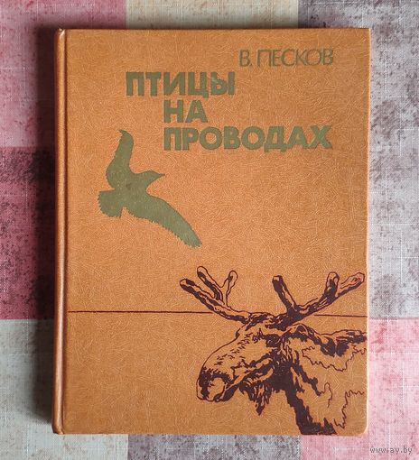 Василий Песков Птицы на проводах