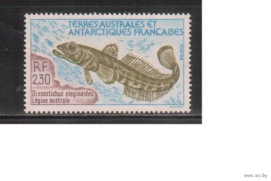 Французские Антарктические Территории-1992(Мих.288) , ** , Морская Фауна,Рыбы