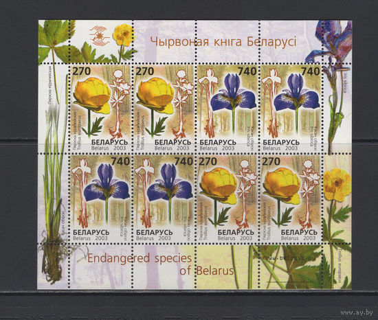Флора цветы Беларусь 2003 малый лист коллекционных марок Редкие виды цветов
