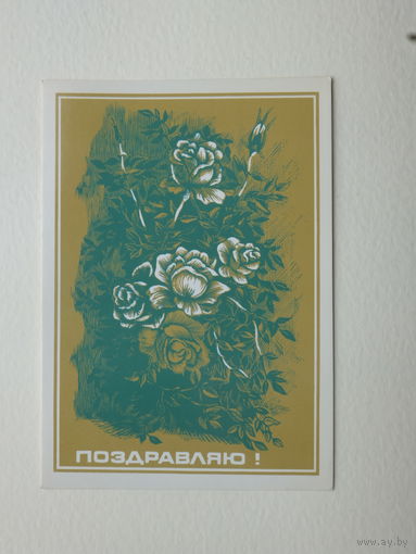 Сергунина поздравляю 1980   10х15  см