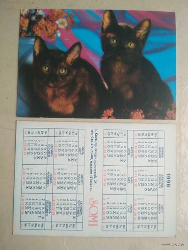 Карманный календарик. Кошки . 1996 год