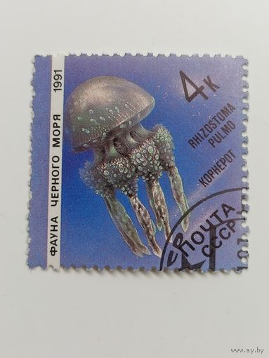 1991 СССР. Фауна Чёрного моря