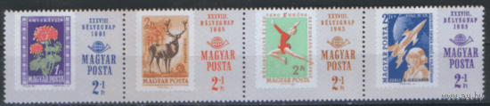 ВЕН. М. 2175/78. 1965. Космос. Флора. Фауна. Спорт. СцЕпКа. ЧиСт.