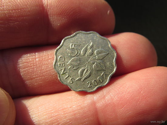 Эсватини (Свазиленд) 5 цент, 2007 . С 20 копеек. Распродажа коллекции. Смотрите другие лоты.
