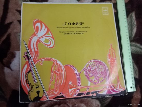 Вокально-инструментальный ансамбль "СОФИЯ"