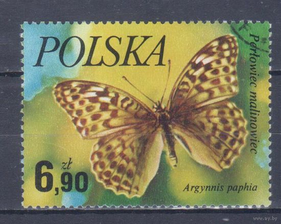 [2469] Польша 1977. Фауна.Бабочка. Концовка серии. Гашеная марка.
