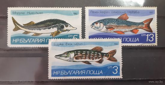 Болгария. 1983 год. Фауна. Рыбы (3 марки из серии, повреждение клея)