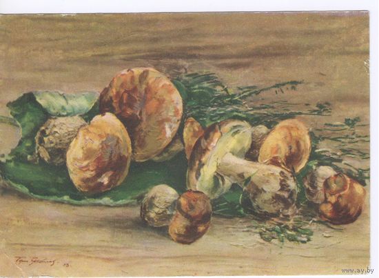 СССР 1956.  Живопись.Грибы.