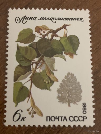 СССР 1980. Липа мелколистная. Марка из серии