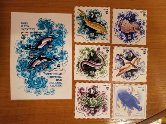1975 СССР Загорский 4426-4433 фауна моря чистая полная серия MNH** (c-3)